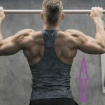 Сделать плечи широкими можно и дома, выполняя упражнения на плечи с гантелями миниатюра